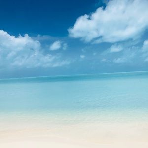 Meet your Posher, Violeta